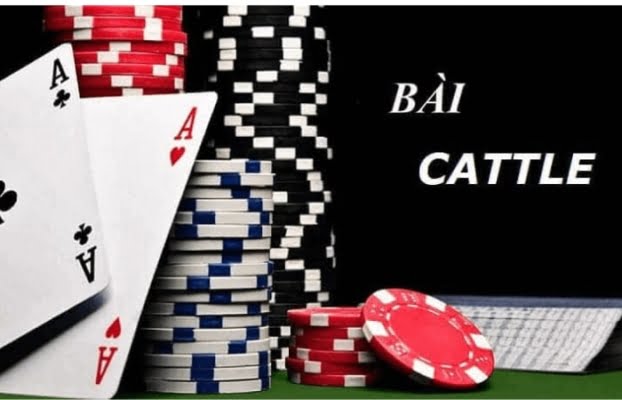 Tặng bạn cách chơi game bài Cát Tê kiếm tiền nhanh tại VZ99 Cách chơi game bài Cát Tê kiếm tiền khủng tại VZ99